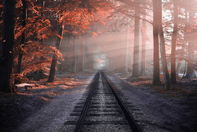 crime fiction books you can’t put down 