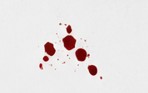 a psychological thriller about survival and hidden danger.
